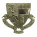 Aberdeen University O.T.C. Cap Badge