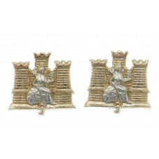 Pair of 1st Royal Anglian Regiment Anodised (Staybrite) Collar Badges