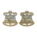 Pair of Devon & Dorset Regiment Anodised (Staybrite) Collar Badges