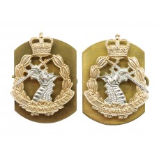 Pair of Royal Army Dental Corps (R.A.D.C.) Anodised (Staybrite) Collar Badges
