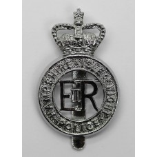 Hampshire & Isle of Wight Police Cap Badge - Queen's Crown