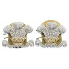 Pair of Royal Hussars Anodised (Staybrite) Collar Badges