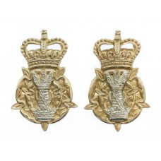 Pair of Leicestershire & Derby Yeomanry Anodised (Staybrite) Collar Badges