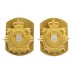 Pair of Royal Logistic Corps (R.L.C.) Collar Badges
