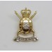 Hampshire Yeomanry (Carabiniers)  Anodised (Staybrite) Collar Badge