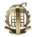 Berkshire & Westminster Dragoons Anodised (Staybrite) Cap Badge