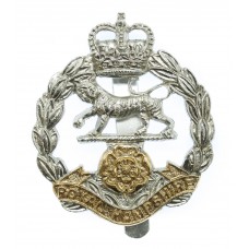 Royal Hampshire Regiment Anodised (Staybrite) Cap Badge