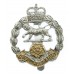 Royal Hampshire Regiment Anodised (Staybrite) Cap Badge
