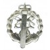 Royal Hampshire Regiment Anodised (Staybrite) Cap Badge