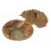 Royal Scots Fusiliers Cap Badge - King's Crown