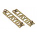 Pair of 1st Royal Dragoons (ROYALS) Shoulder Titles