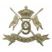 Victorian 9th Queen's Royal Lancers Cap Badge