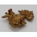 Lancashire Fusiliers Shoulder Title