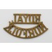 Royal Norfolk Regiment (ROYAL/NORFOLK) Shoulder Title