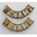 Pair of Welch Regiment (WELCH) Shoulder Titles