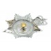 Thames Valley Police Enamelled Helmet Plate - Queen's Crown