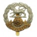 Hampshire Regiment Cap Badge