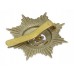 Cheshire Regiment Cap Badge