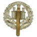 Northamptonshire Regiment Cap Badge