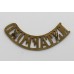 North Staffordshire Regiment (N.STAFFORD) Shoulder Title