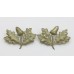 Pair of South Notts Hussars Collar Badges