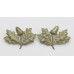 Pair of South Notts Hussars Collar Badges