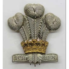 Royal Regiment of Wales Bi-Metal Cap Badge