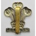 Royal Regiment of Wales Bi-Metal Cap Badge
