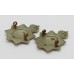 Pair of 1st King's Dragoon Guards Collar Badges  King's Crown