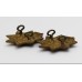 Pair of Victorian East Surrey Regiment Collar Badges