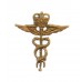 Royal Air Force (R.A.F.) Medical Branch Collar Badge - Queen's Crown