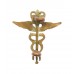 Royal Air Force (R.A.F.) Medical Branch Collar Badge - Queen's Crown
