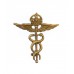 Royal Air Force (R.A.F.) Medical Branch Collar Badge - King's Crown