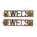 Pair of The Royal Welsh (R.WELSH) Shoulder Titles