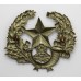 Cameronians (Scottish Rifles) Cap Badge