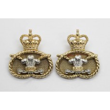 Pair of Staffordshire Regiment Anodised (Staybrite) Collar Badges