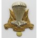 Canadian Airborne Regiment Cap Badge