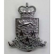 Royal Cayman Islands Police Cap Badge - Queen's Crown