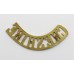 Cheshire Regiment (CHESHIRE) Shoulder Title