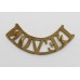 Devonshire Regiment (DEVON) Shoulder Title