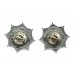 Pair of Northern Ireland Police Service Enamelled Collar Badges