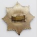 Cheshire Regiment WW2 Plastic Economy Cap Badge