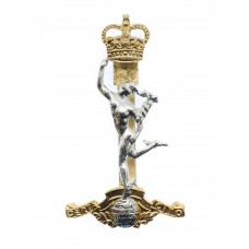 Scarce Royal Signals Early Anodised (Staybrite) Cap Badge