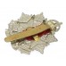 Border Regiment Cap Badge - King's Crown