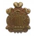 Canadian Princess of Wales's Own Regiment Cap Badge