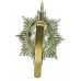 Worcestershire Regiment Cap Badge