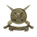 Pakistan Frontier Force Pathan Regiment Cap Badge