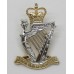 Royal Irish Rangers Anodised (Staybright) Cap Badge