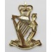 Royal Irish Rangers Anodised (Staybright) Cap Badge
