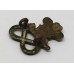 North Staffordshire Regiment Collar Badge